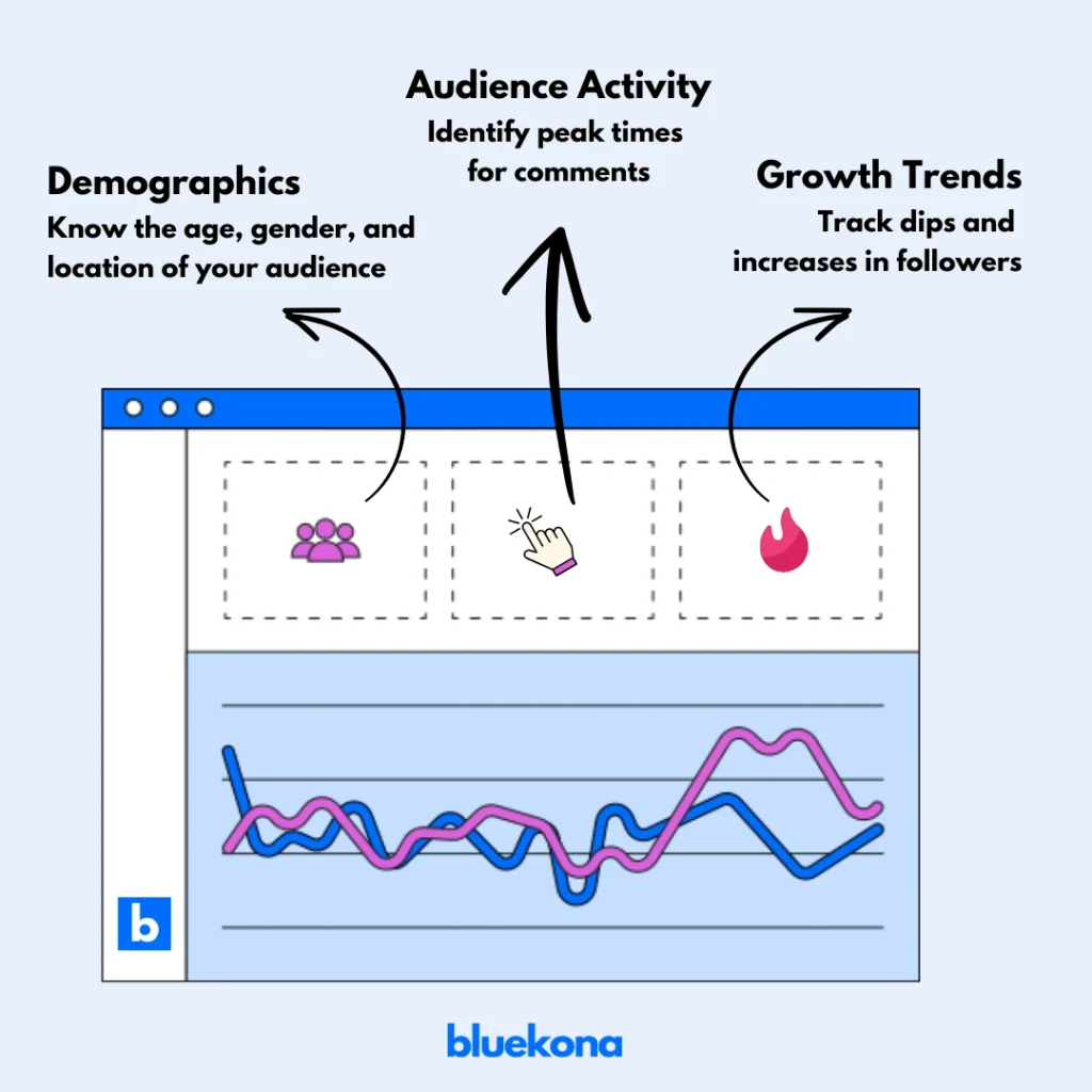 Instagram-Audience-Audit